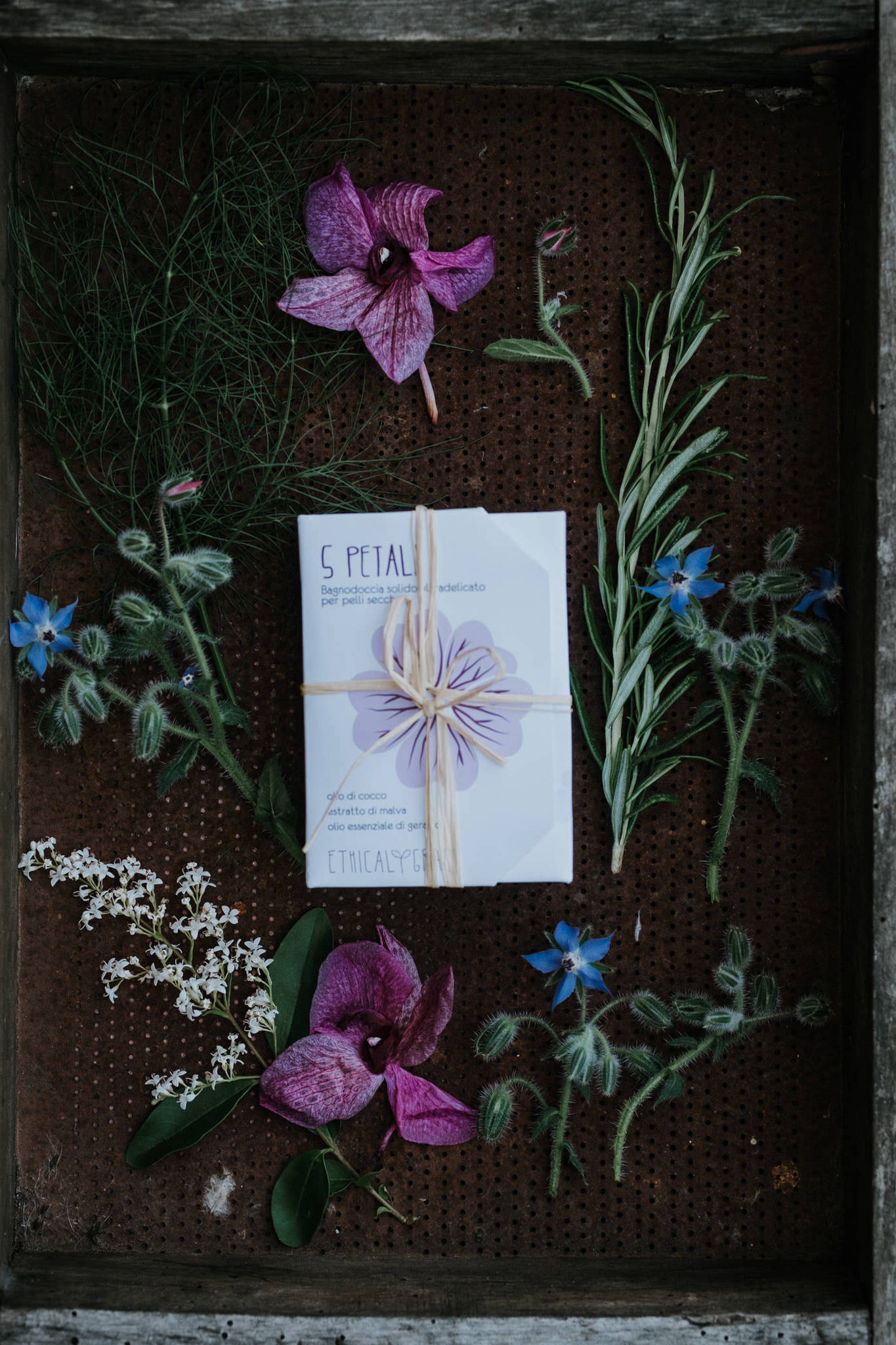 Bagnodoccia e crema solido 5 Petali